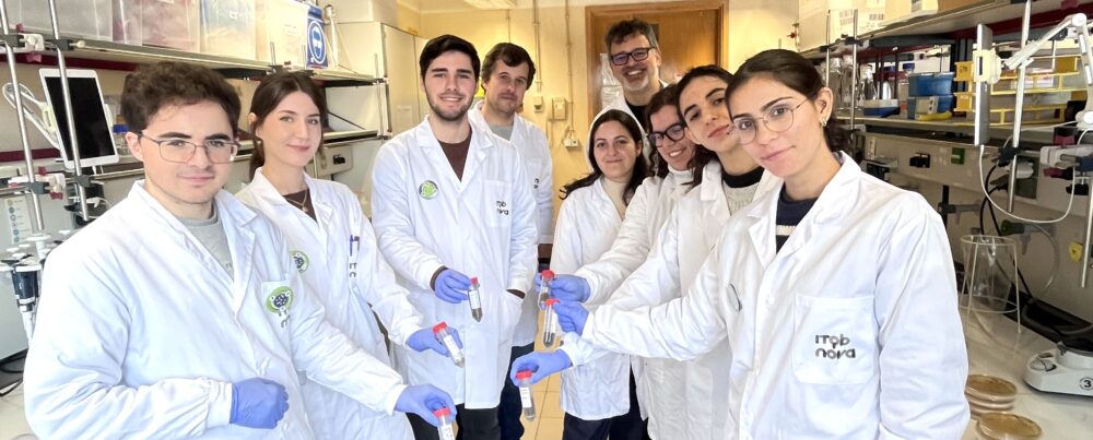 Projeto de Ciência Cidadã MicroMundo@Oeiras Publica Estudo Científico e a Comunidade Participa na Luta Contra a Resistência aos Antibióticos